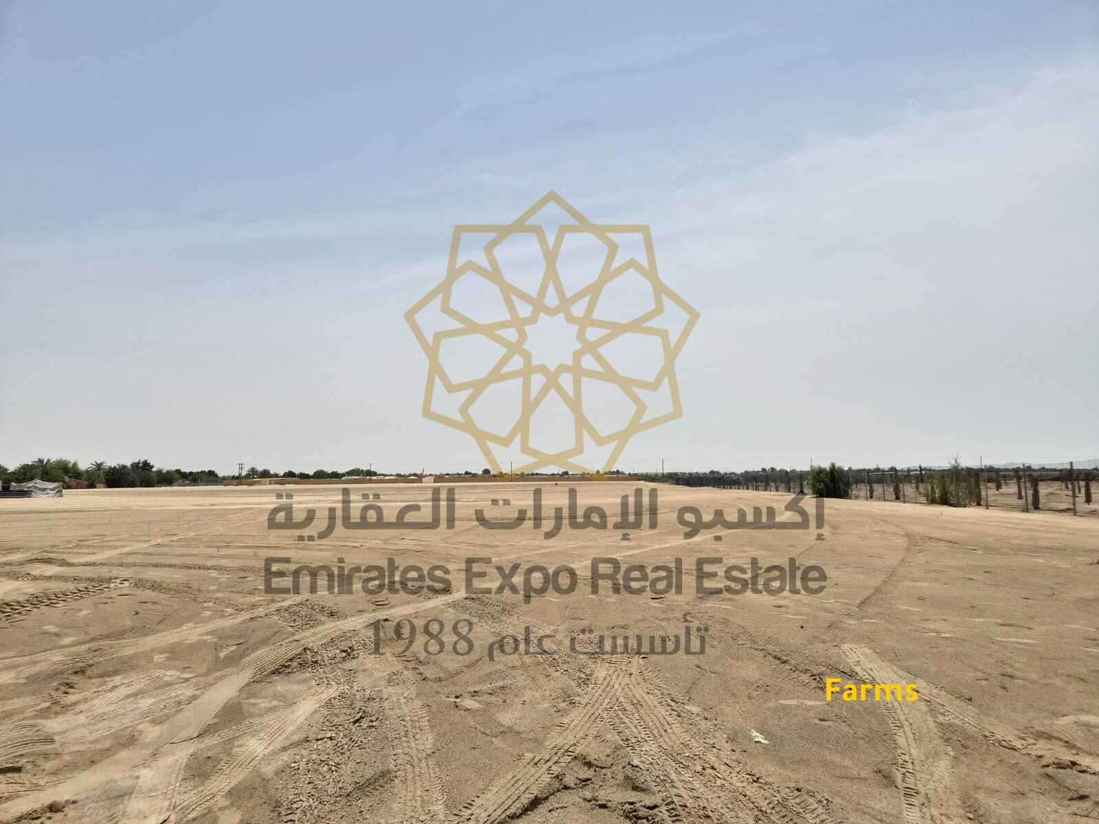 للبيع عزبة في بدع بنت سعود بموقع مميز جدا